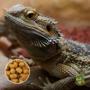 mazuri para reptiles herbívoros