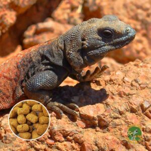 mazuri para reptiles