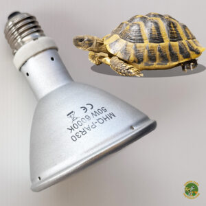 Bombillas HID UVB para tortugas