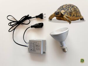 Pack bombilla hid + balastro