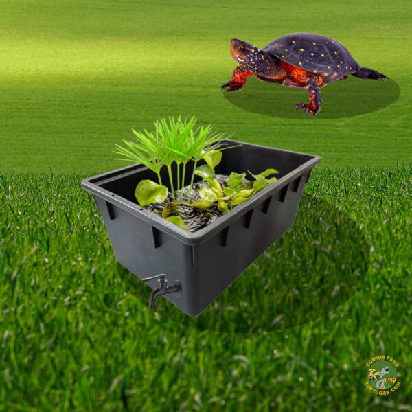 Estanque para tortugas - Turtle Tank - Imagen 4