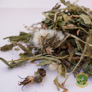 diente de león para reptiles