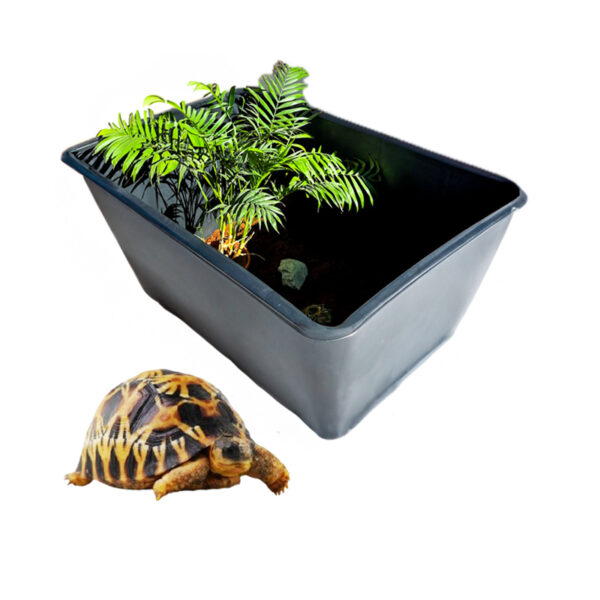 Terrarios y Tortugueras
