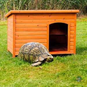 Caseta para tortugas de tierra