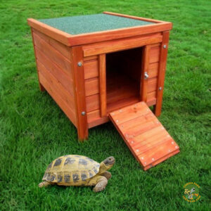 caseta para tortugas