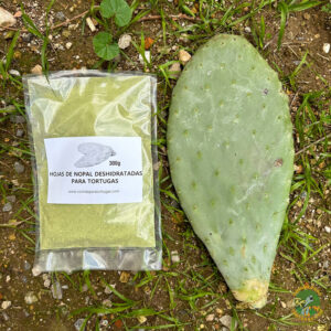 hojas de nopal en polvo para tortugas