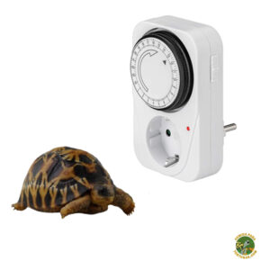 temporizador para tortugas