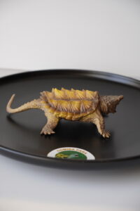 figura tortuga caiman