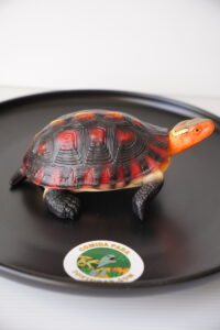 Figura Tortuga Cuora flavomarginata