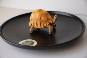 Figura Tortuga Astrochelys yniphora