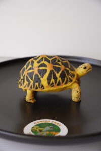 Figura Tortuga Geochelone platynota