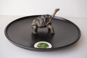Figura Tortuga de tierra gigante