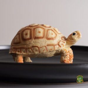 figura tortuga pardalis