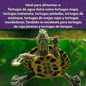 mazuri para tortugas de agua