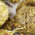 Agrobs para reptiles herbívoros - Imagen 3