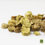 Agrobs comida para tortugas de tierra