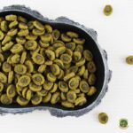 Alimento para Tortugas de Tierra Sera Tortoise Adult Herbivore Duo Pellets 1000 ml - Imagen 4