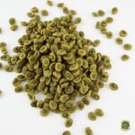 Alimento para Tortugas de Tierra Sera Tortoise Adult Herbivore Duo Pellets 1000 ml - Imagen 2