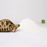 Calcio para tortugas de tierra 500g / 1kg - Imagen 3