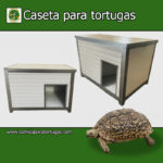Caseta para tortugas de tierra panel de sandwitch - Imagen 3
