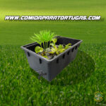 Estanque para tortugas - Turtle Tank - Imagen 2