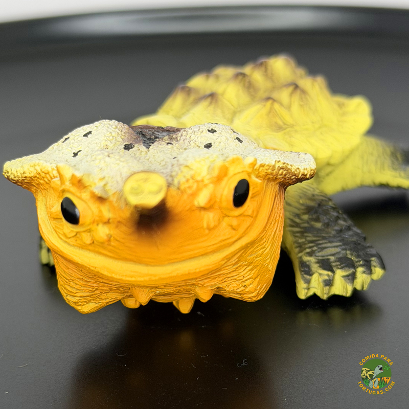 figura-de-tortuga-mata-mata-de-agua-de-coleccionismo-decoracion-comprar-1.jpg Figura Tortuga mata mata - Big Head - Imagen 1