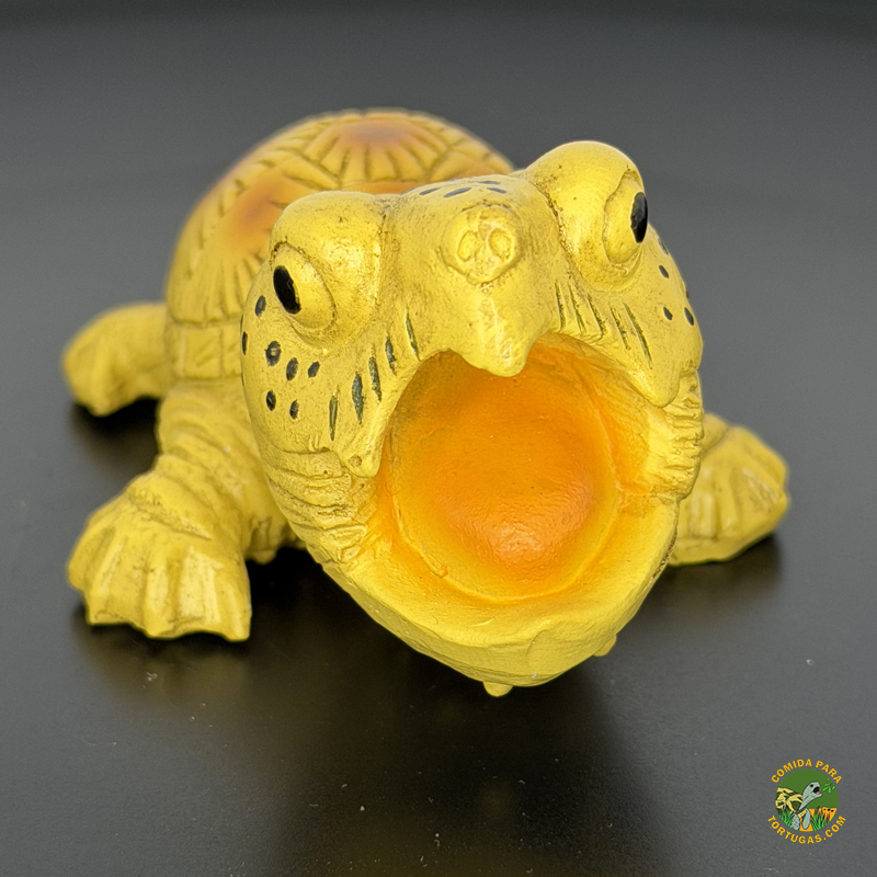 figura-de-tortuga-sternotherus-minor-minor-de-agua-de-coleccionismo-decoracion-compra-1.jpg Figura Tortuga Sternortherus minor minor - Big Head - Imagen 1