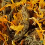 Flores de caléndula - Comida para tortugas de tierra - Imagen 4