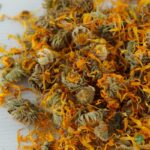 Flores de caléndula - Comida para tortugas de tierra - Imagen 3