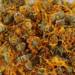 Flores de caléndula - Comida para tortugas de tierra - Imagen 2