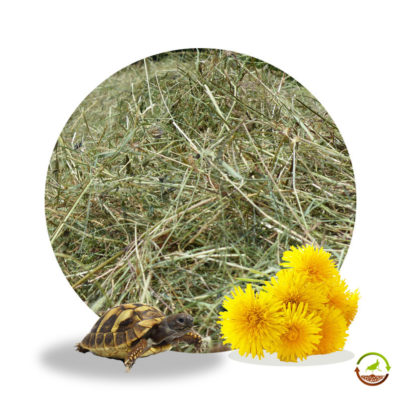 heno-diente-de-leon-para-tortugas-de-tierra-terrestres-timothy-comprar-alimento-comida-natural-2.jpg Heno para tortugas de tierra de diente de león 500g - Imagen 1