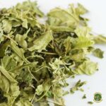 Hojas de morera - Comida para tortugas de tierra - Imagen 3