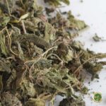 Hojas de ortiga - Comida para tortugas de tierra - Imagen 3