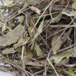 Llantén hojas deshidratadas - Comida para tortugas de tierra - Imagen 3