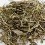 Llantén hojas deshidratadas - Comida para tortugas de tierra - Imagen 4