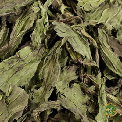 llanten-para-tortugas-de-tierra-hojas-comida-alimento-deshidratado-natural-barato-terrestres.jpg Llantén hojas deshidratadas - Comida para tortugas de tierra - Imagen 1