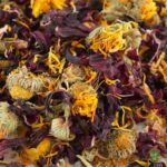 Mezcla de flores - Comida para tortugas de tierra