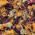 Mezcla de flores - Comida para tortugas de tierra - Imagen 3