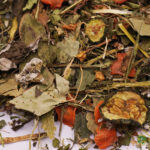 Mezcla de hierbas, flores y frutas sin azúcar para Tortugas de Tierra - Festin floral
