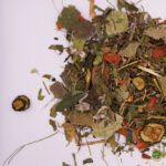 Mezcla de hierbas, flores y frutas sin azúcar para Tortugas de Tierra - Festin floral - Imagen 2