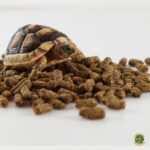 Mazuri LS - Alimento para tortugas de tierra - Imagen 3