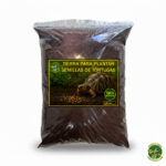 Tierra para plantar semillas de tortugas natural