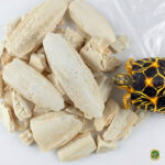 Trozos de hueso de sepia para tortugas | Fuente natural de calcio y desgaste del pico