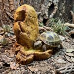 Bebedero para Tortugas de Tierra rocoso con Depósito - Giganterra - Imagen 2