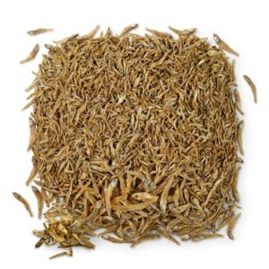 tetra reptodelica anchovies