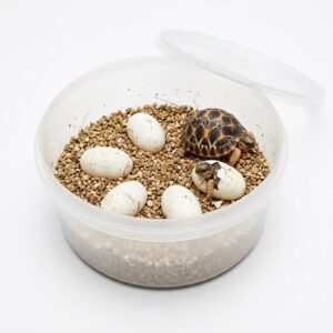vermiculita para tortugas